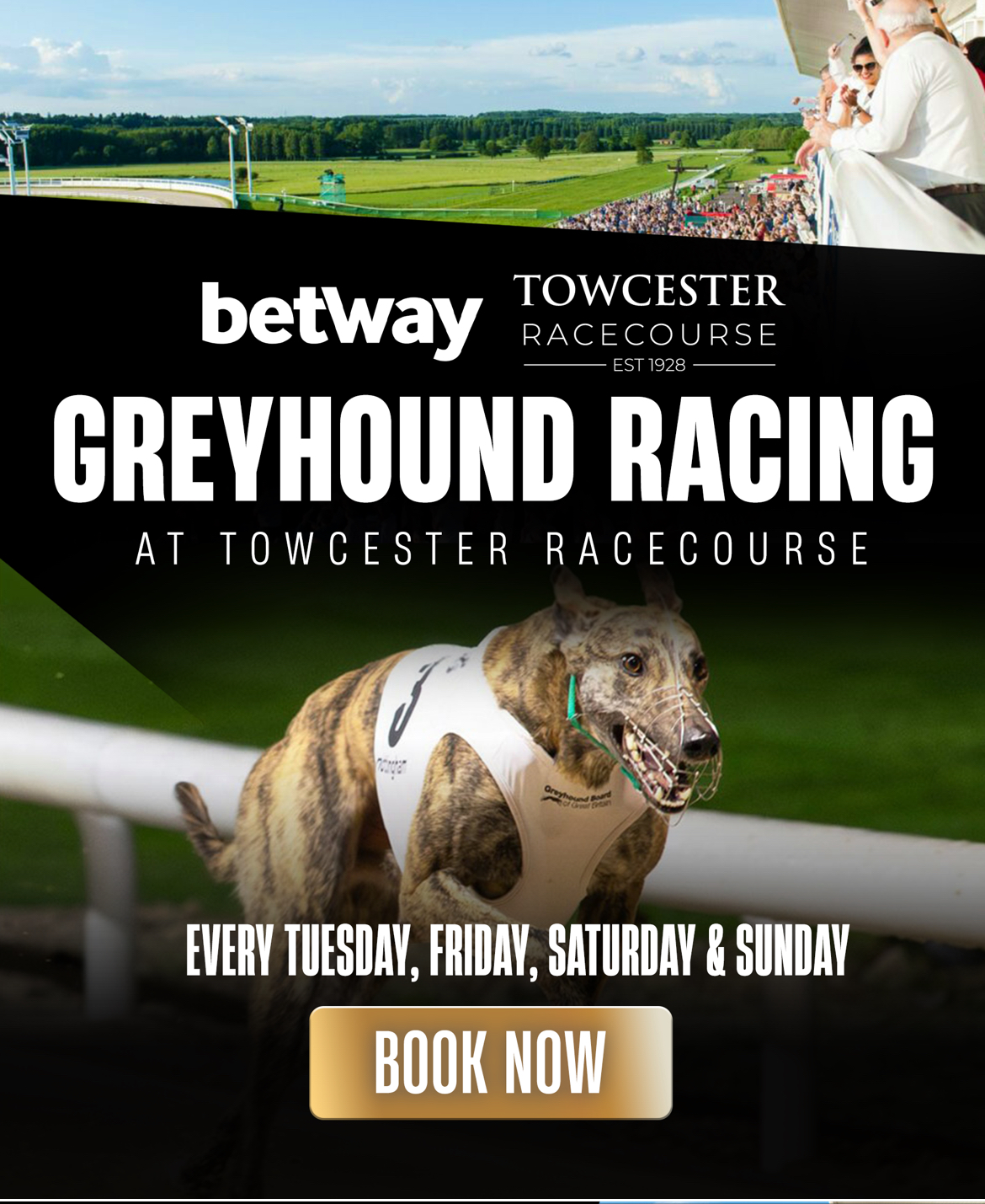 Betway Towcester greyhound racing banner
